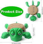 Funny Turtle Coaster